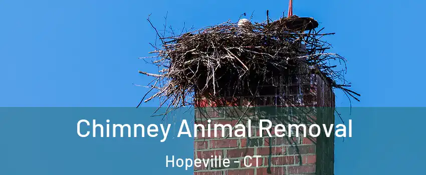 Chimney Animal Removal Hopeville - CT