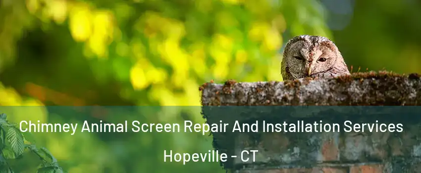 Chimney Animal Screen Repair And Installation Services Hopeville - CT