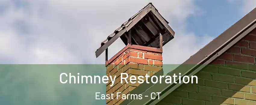 Chimney Restoration East Farms - CT