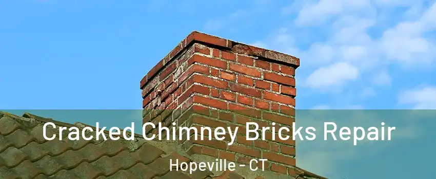 Cracked Chimney Bricks Repair Hopeville - CT