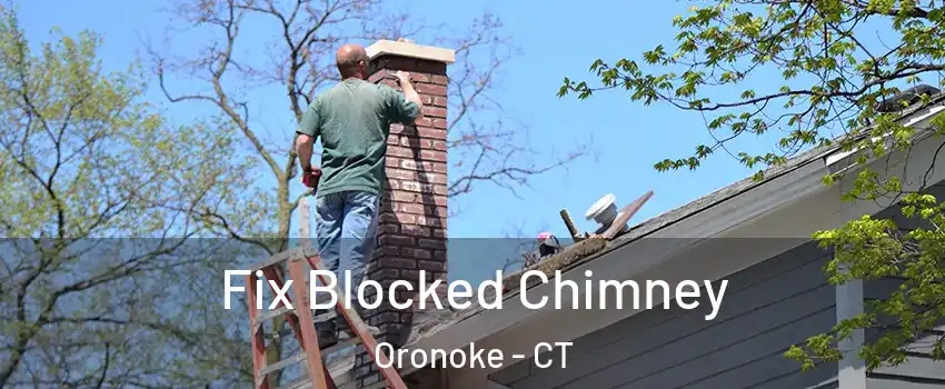 Fix Blocked Chimney Oronoke - CT